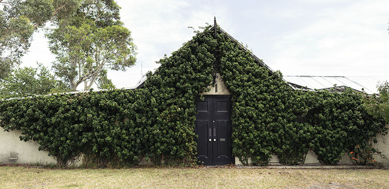 Mount Mary Wines