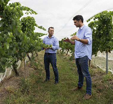 Under the nets: Sam Middleton and Paul Diamond survey the potential of Mount Mary's 2025 crop.
