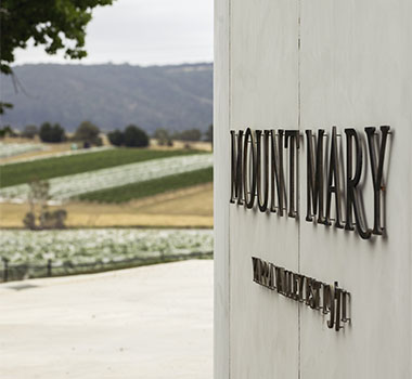 Mount Mary's vine vista across the Yarra Ranges.