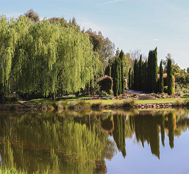 De Bortoli Bilbul Oasis that is Emeri's Garden