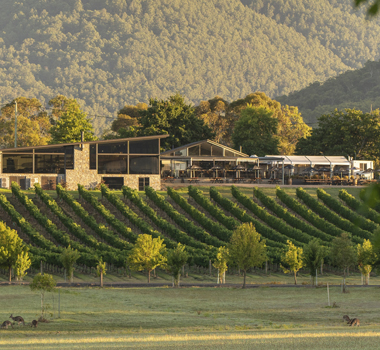 Boat O'Craigo Wines, Yarra Valley