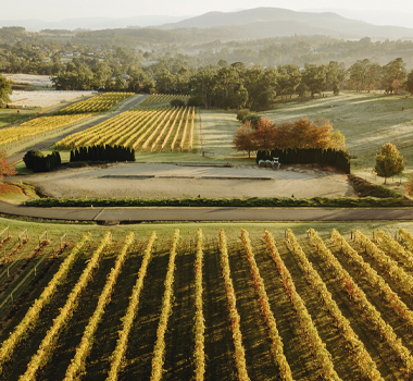 Payne's Rise Wines, Yarra Valley