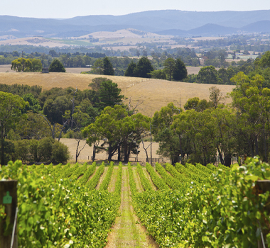 Rochford Wines, Yarra Valley