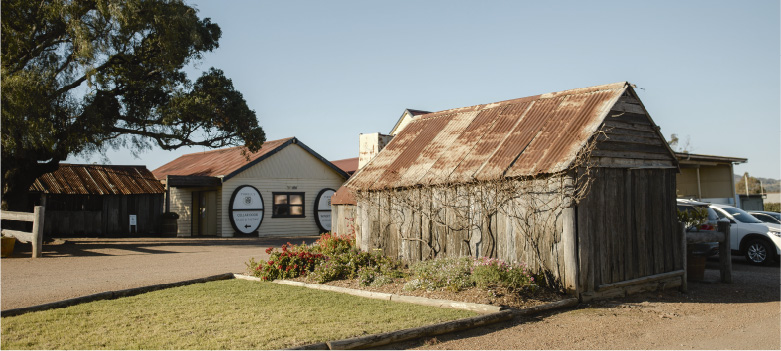 The famous Tyrrell’s old hut and cellar door