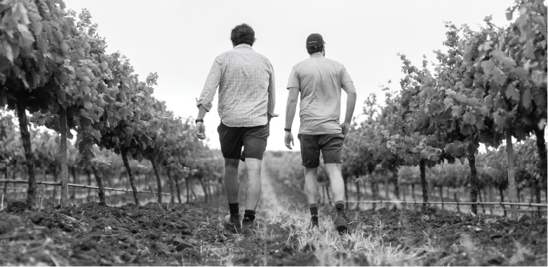 Australian winemakers walking in the vineyards.