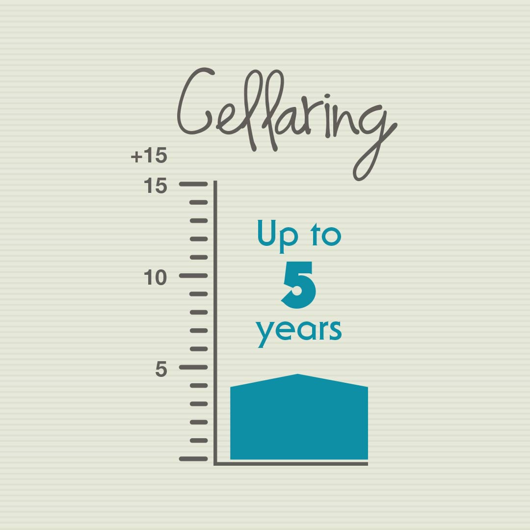 How long can you cellar Cabernet Franc infographic