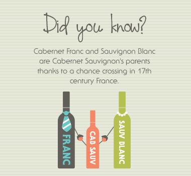 Fun fact about Cabernet Franc infographic