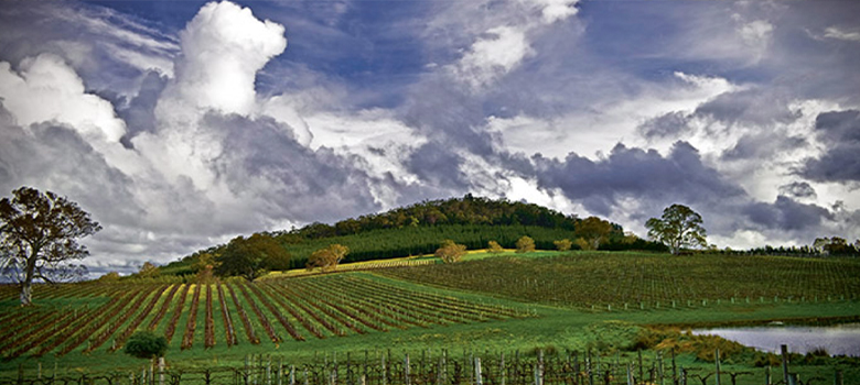 Australian wine region Eden Valley produces Riesling