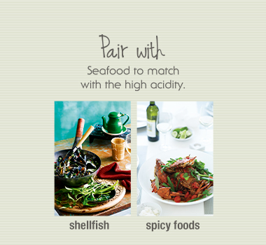 Riesling Infographic food pairings