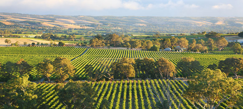 Australian Wine Region