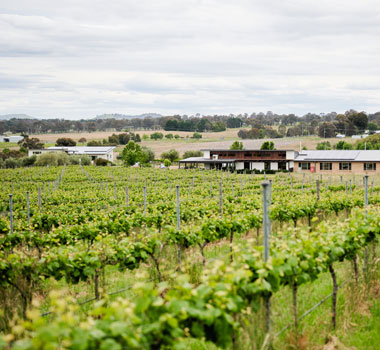 Clonakilla, Canberra wine region 