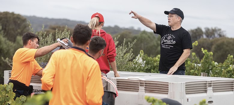 Giles Cooke MW directing harvest at Thistledown in McLaren Vale.