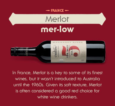 What is Merlot wine?