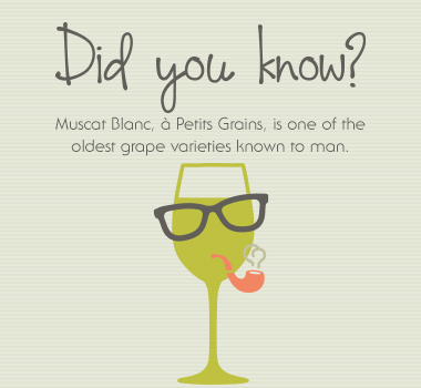 Facts about moscato