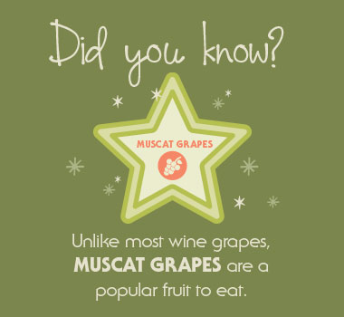 Fun fact on muscat grapes