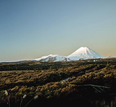Discover New Zealand's North Island with Avis