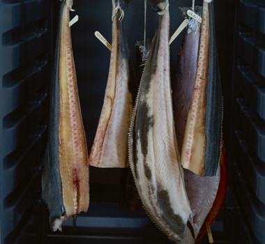Curing and ageing fish aboard MS Trollfjord