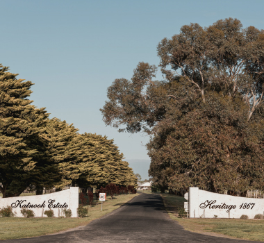 The entrance way and gates to Katnook Estate beneath majestic gum trees.