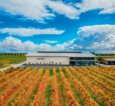 A view of Zema Estate in Coonawarra