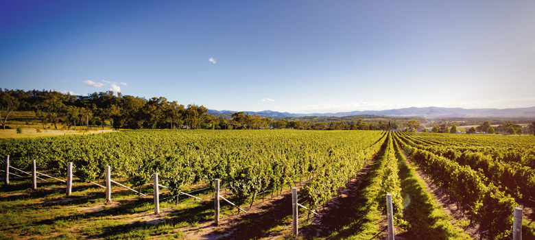 Queensland's Granite Belt - Wine Selectors