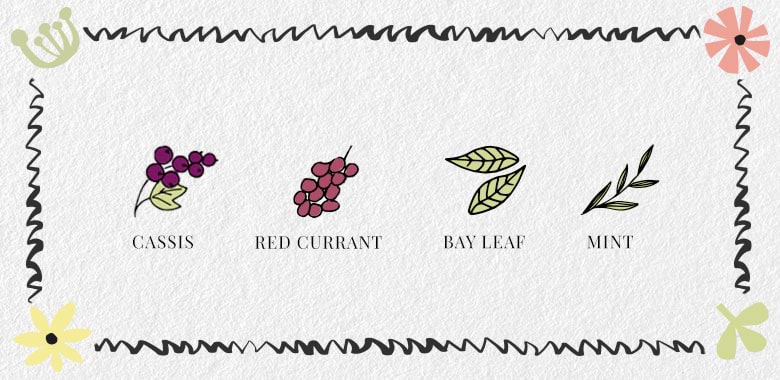 Cabernet Franc Flavours