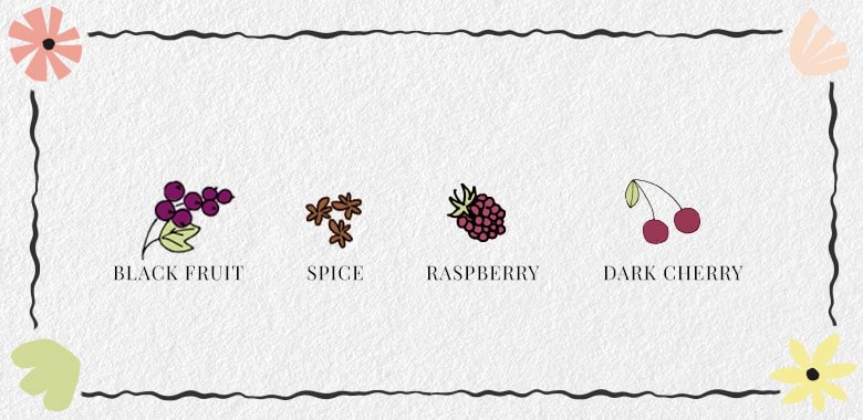 Nero d'Avola Wine Flavours