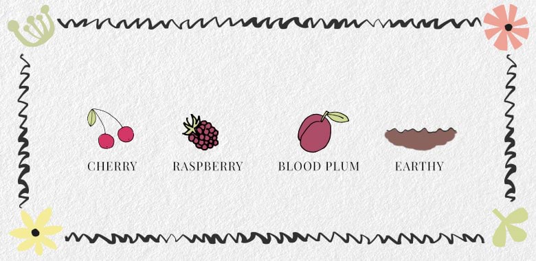 Pinot Noir Wine Flavours