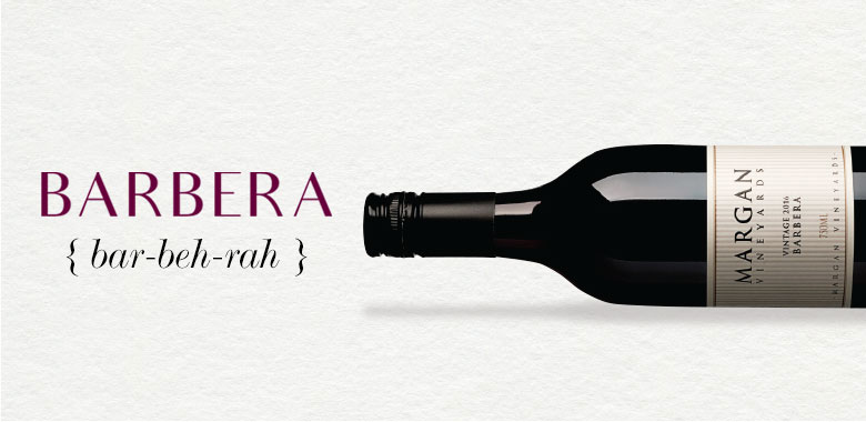 Barbera wine 