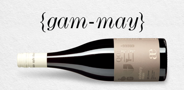 What is Gamay?
