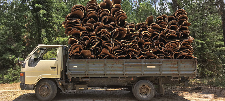 Transporting Cork Harvest By Truck through Alentejo