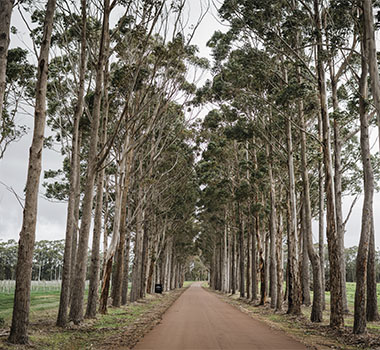 Vasse Felix Entrance