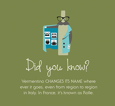 Infographic of Vermentino: 'In France, Vermentino is known as Rolle'