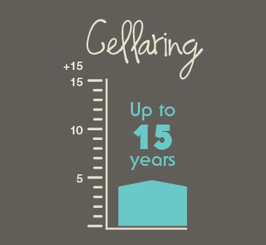 Infographic on Cellaring and how long it takes